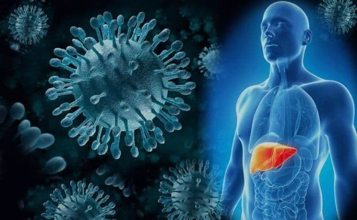 10 Facts about Hepatitis B