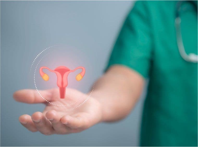 The BRCA Gene and Cancers of the Reproductive System