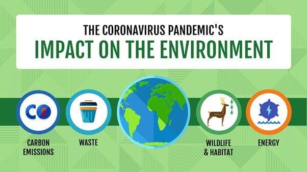 Improvement In General Health During The Corona Virus Pandemic