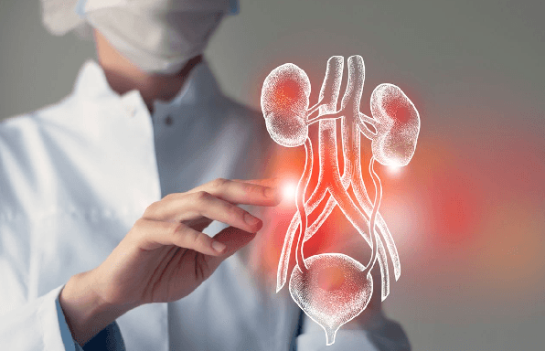 How do Immunosuppressants help Organ Transplants?
