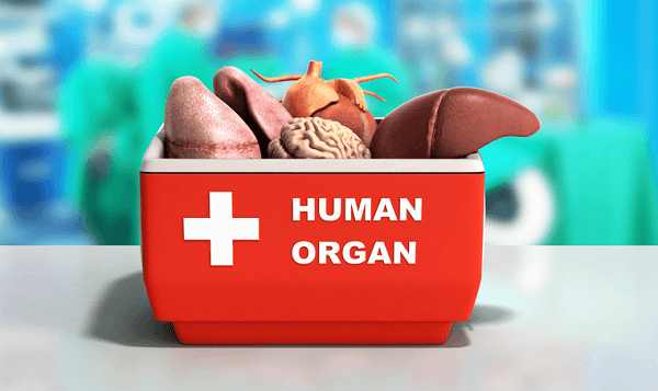 7 Things to Know about Immunosuppressants
