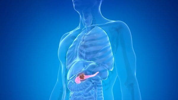 What are the First Warning Signs of Pancreatic Cancer?