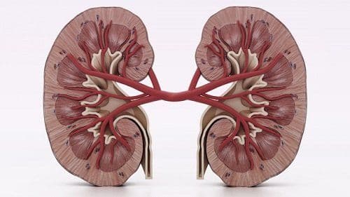 Symptoms and Risk Factors of Renal Cell Carcinoma, Neuroendocrine Tumor, Meningioma and Gastrointestinal Stromal Tumor