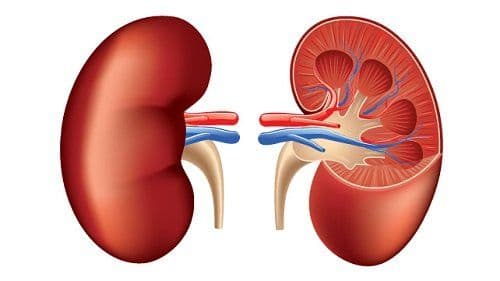 Renal Cell Carcinoma- Causes, Diagnosis, Treatment and Medication