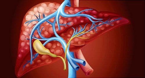 What Are Various Risk Factors Of Contracting Hepatitis C From An Infected Person?