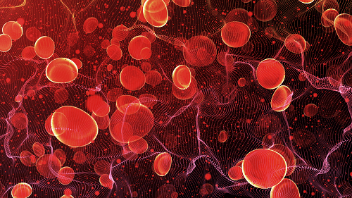 Types of Blood Cancer – Leukemia & Lymphoma