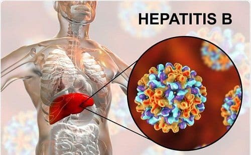 What is Hepatitis B and How It is Treated?
