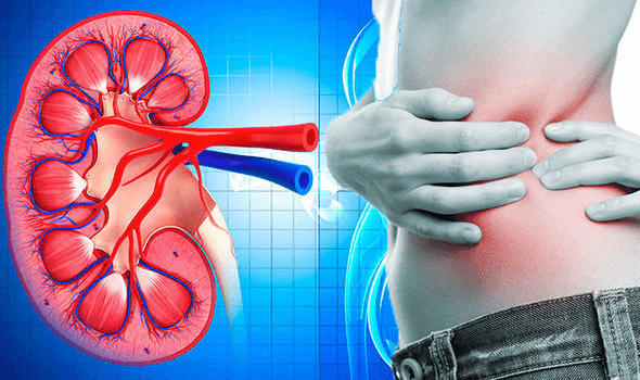 What are the Early Kidney Cancer Symptoms?