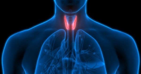 What is the Survival Rate of Thyroid Cancer?