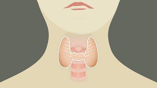 How Lenvakast 10 mg (Lenvatinib) can help cure Thyroid Cancer