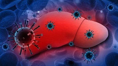 Everything you need to know about Hepatitis B