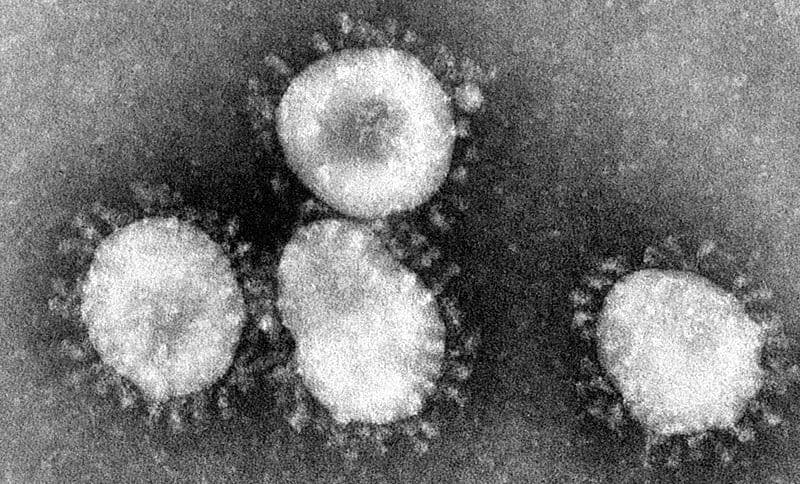Is the Coronavirus Outbreak Considered a Pandemic?