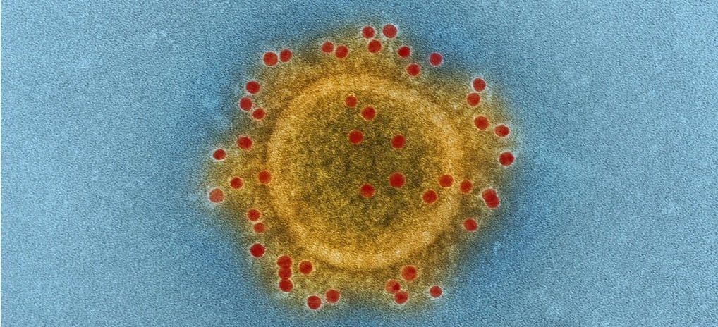 Symptoms and Diagnosis of the Coronavirus