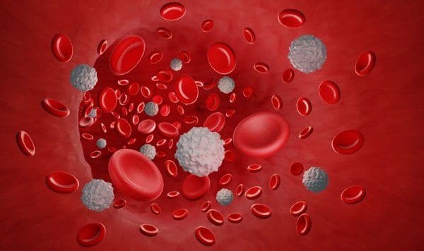 Find Out About The Drug That Helps In Fighting Blood Cancer At An Early Stage