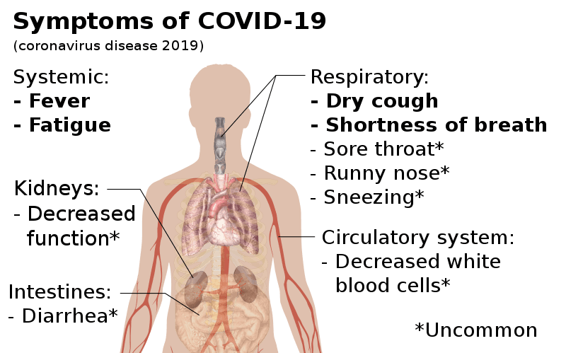 When Should Coronavirus Testing be Done?