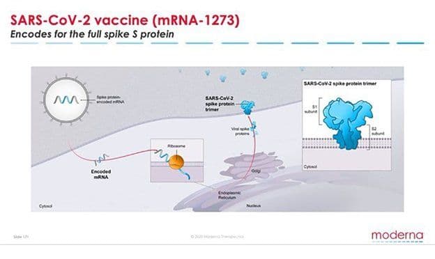 Positive Results for Phase 1 Data of mRNA Vaccine against Coronavirus