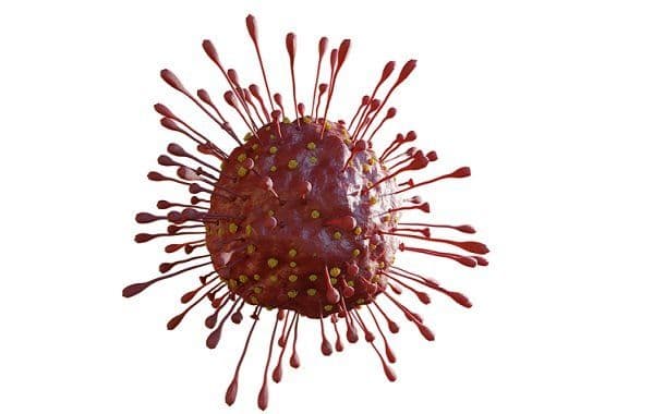 Will Coronavirus Hit Hard After Lockdown is Opened?