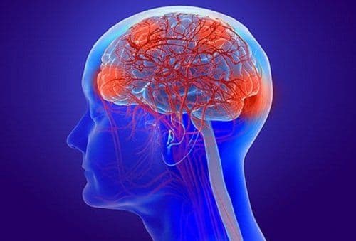 Facts of Encephalopathy-Definition, Types, Symptoms, and Treatment