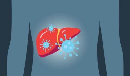Why People need to take HCV Genotypes Seriously