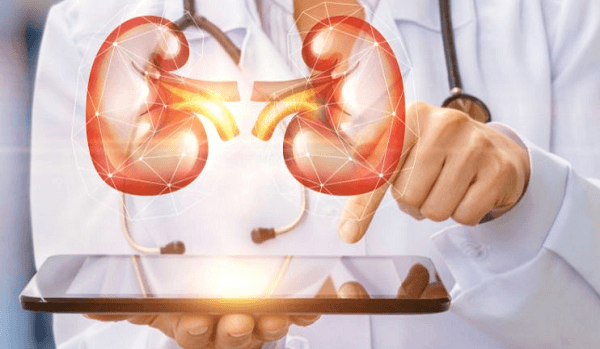 Kidney Pain Can Mean Kidney Cancer – Common Symptoms of Kidney Cancer