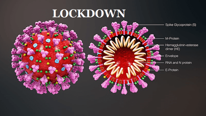 Lockdown may be extended In India
