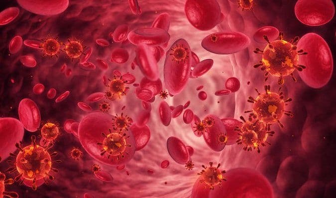 What Organ is Most Affected by Multiple Myeloma