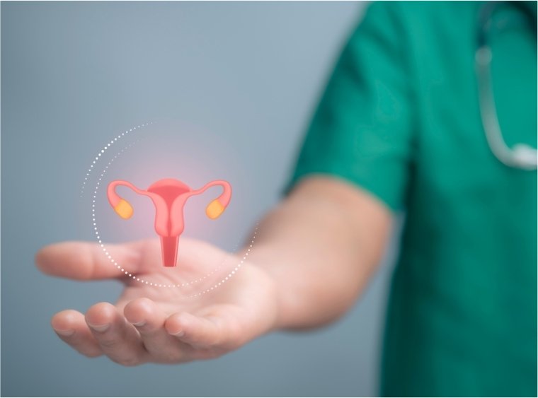 The BRCA Gene and Cancers of the Reproductive System